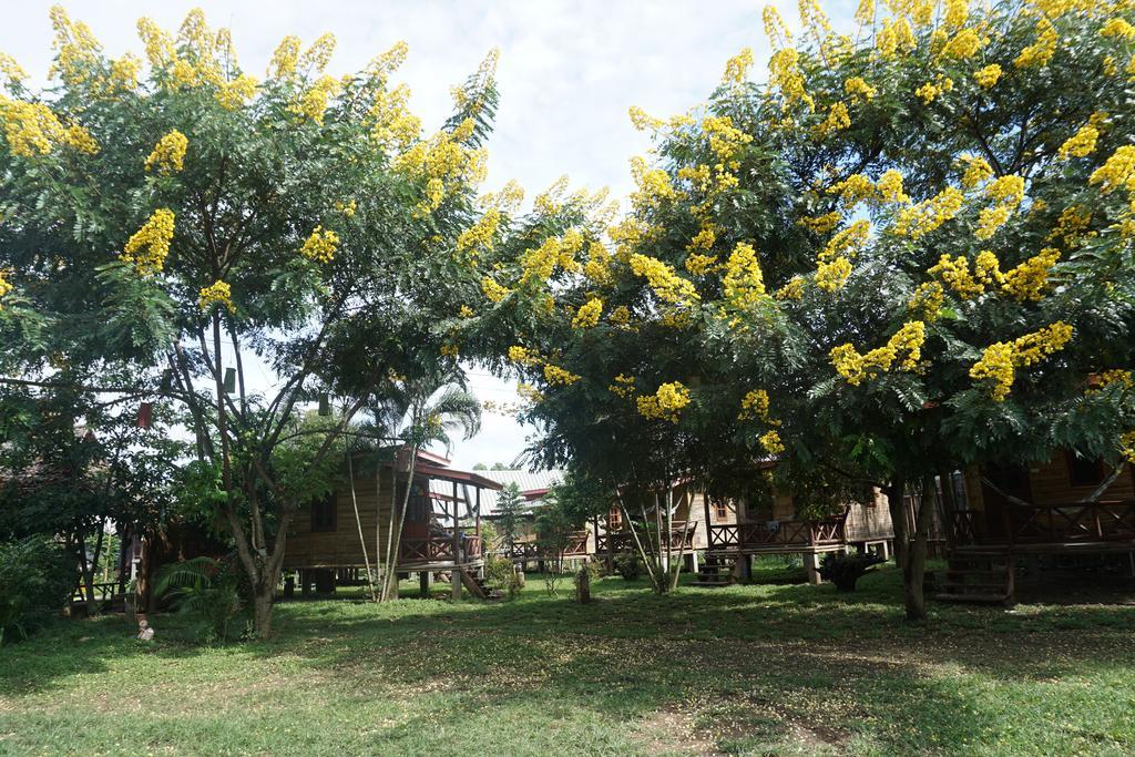 Family Hut Pai Hotel Luaran gambar